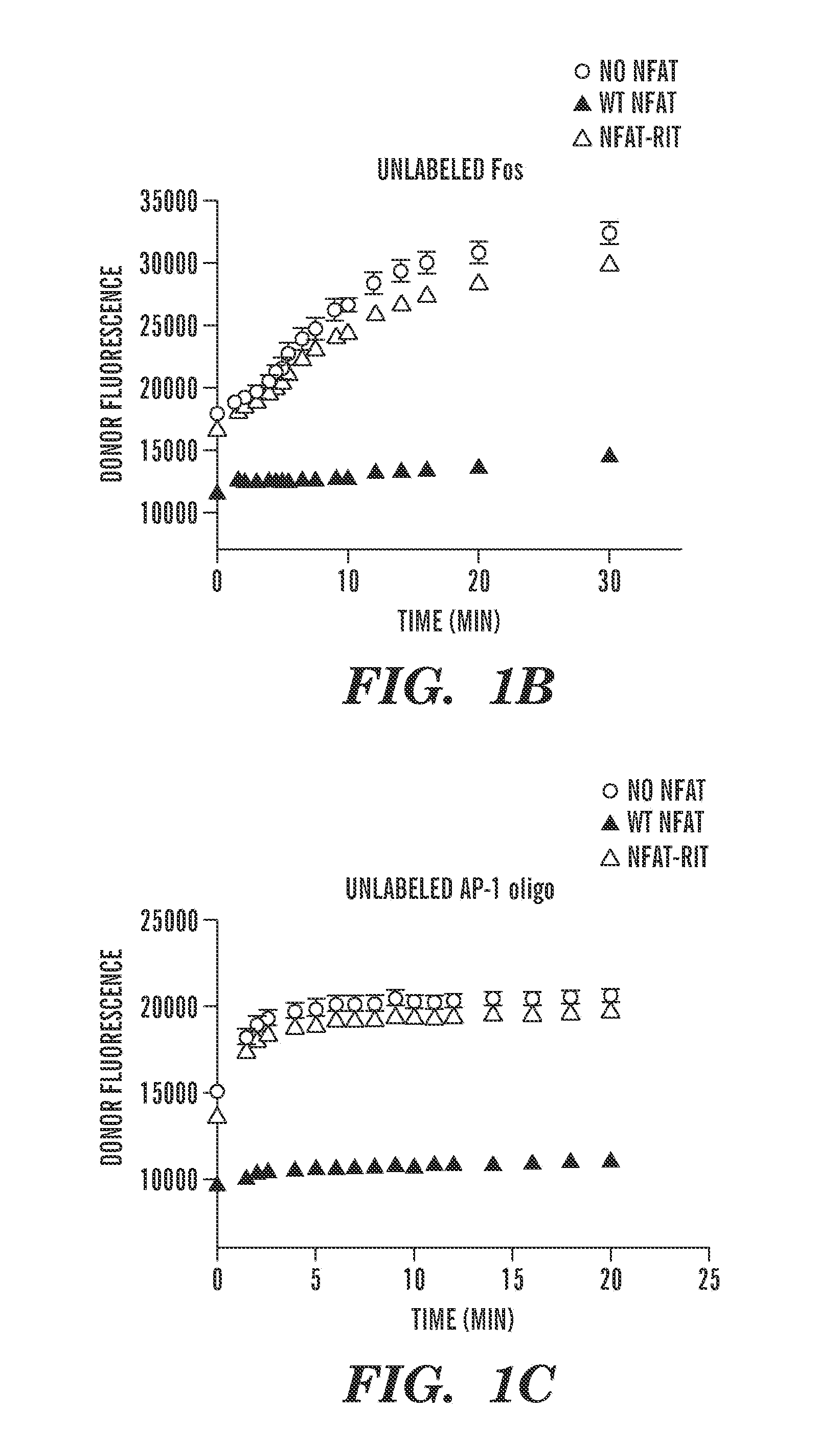 Small molecule screen for inhibitors of nfat: ap-1: DNA interactions