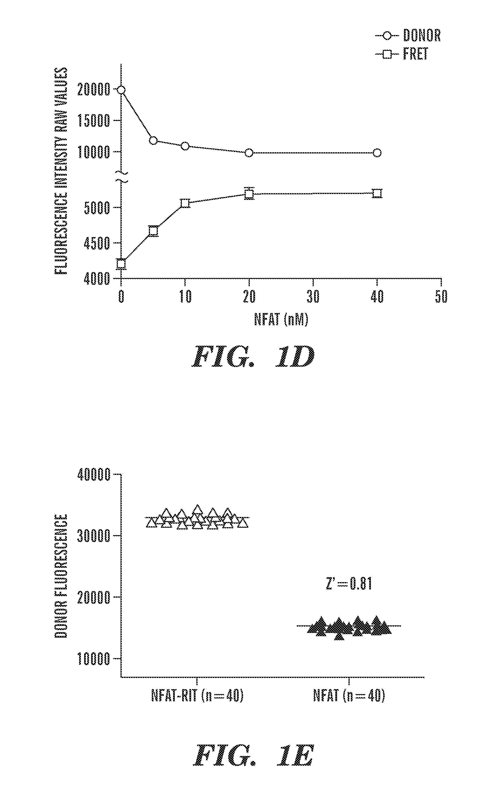 Small molecule screen for inhibitors of nfat: ap-1: DNA interactions