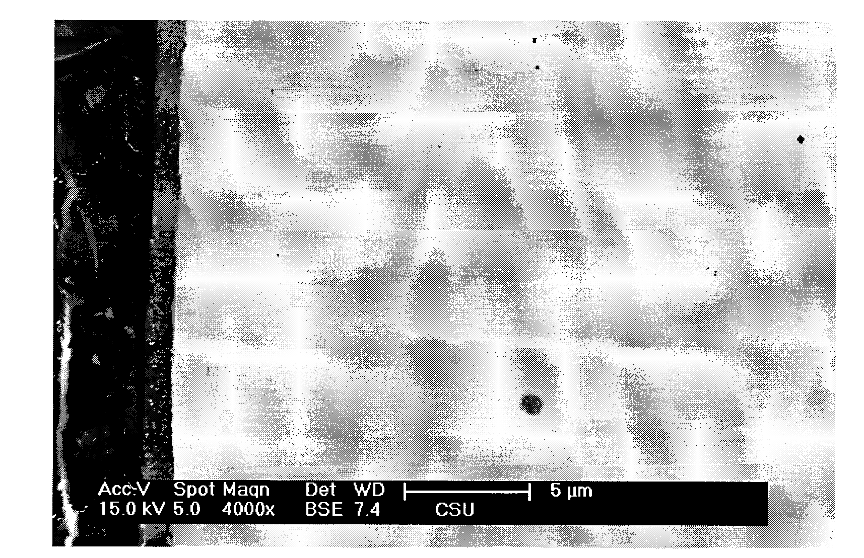 Highly-resistant-to-color-changing gold anti-corrosion copper alloy and panel preparing method thereof