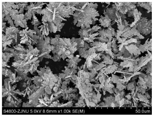 A kind of plasmon resonance electromagnetic enhanced bimetallic-dielectric heterogeneous material and its preparation and application