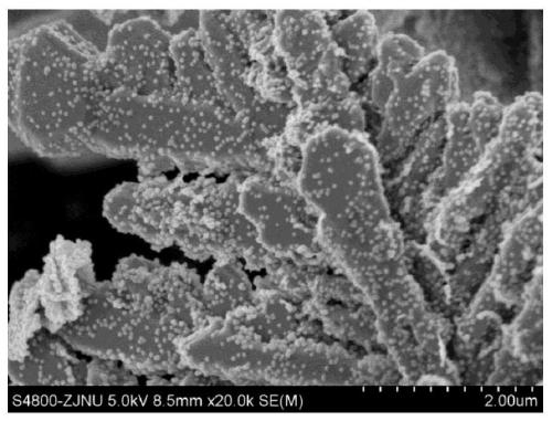 A kind of plasmon resonance electromagnetic enhanced bimetallic-dielectric heterogeneous material and its preparation and application