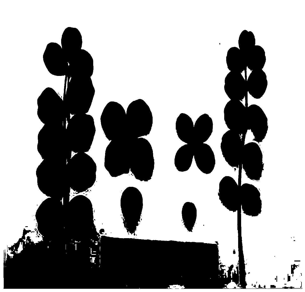 A method of inducing milk vetch tetraploid