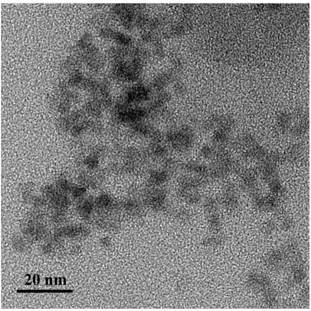 Preparation method of fluorescent carbon quantum dots