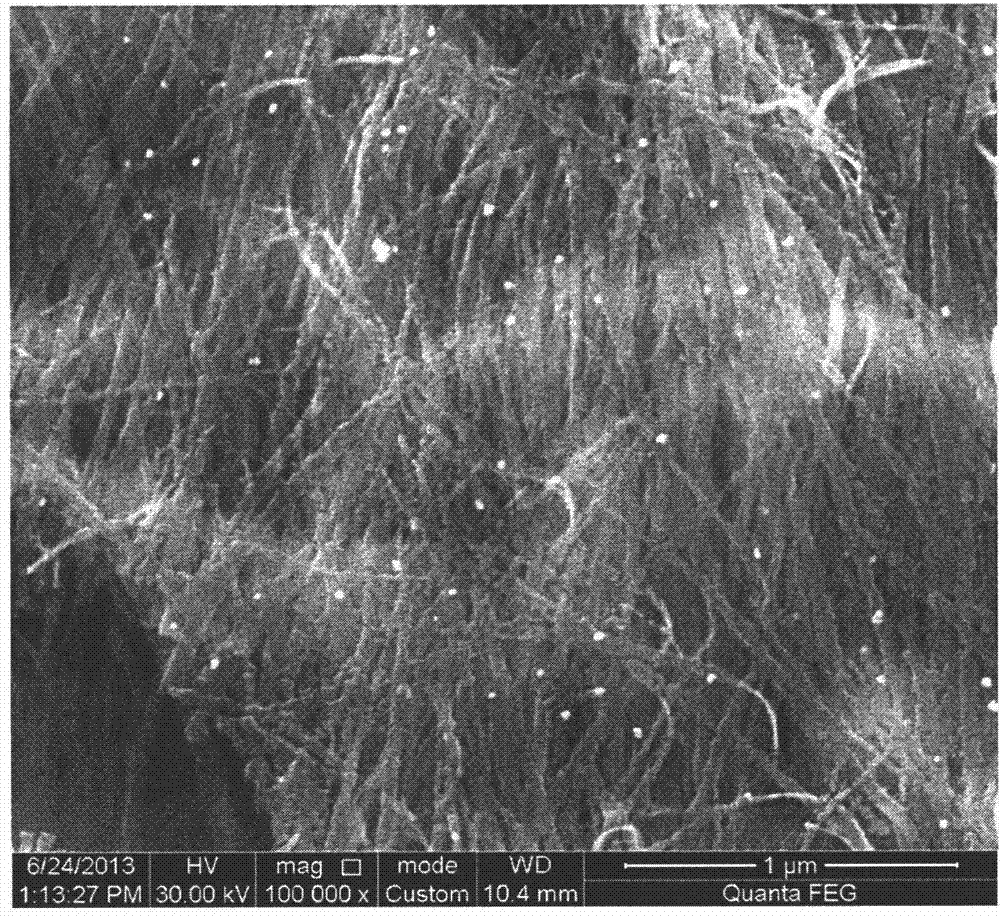 Preparation method of Au-Pd/TiO2 NBs photocatalyst