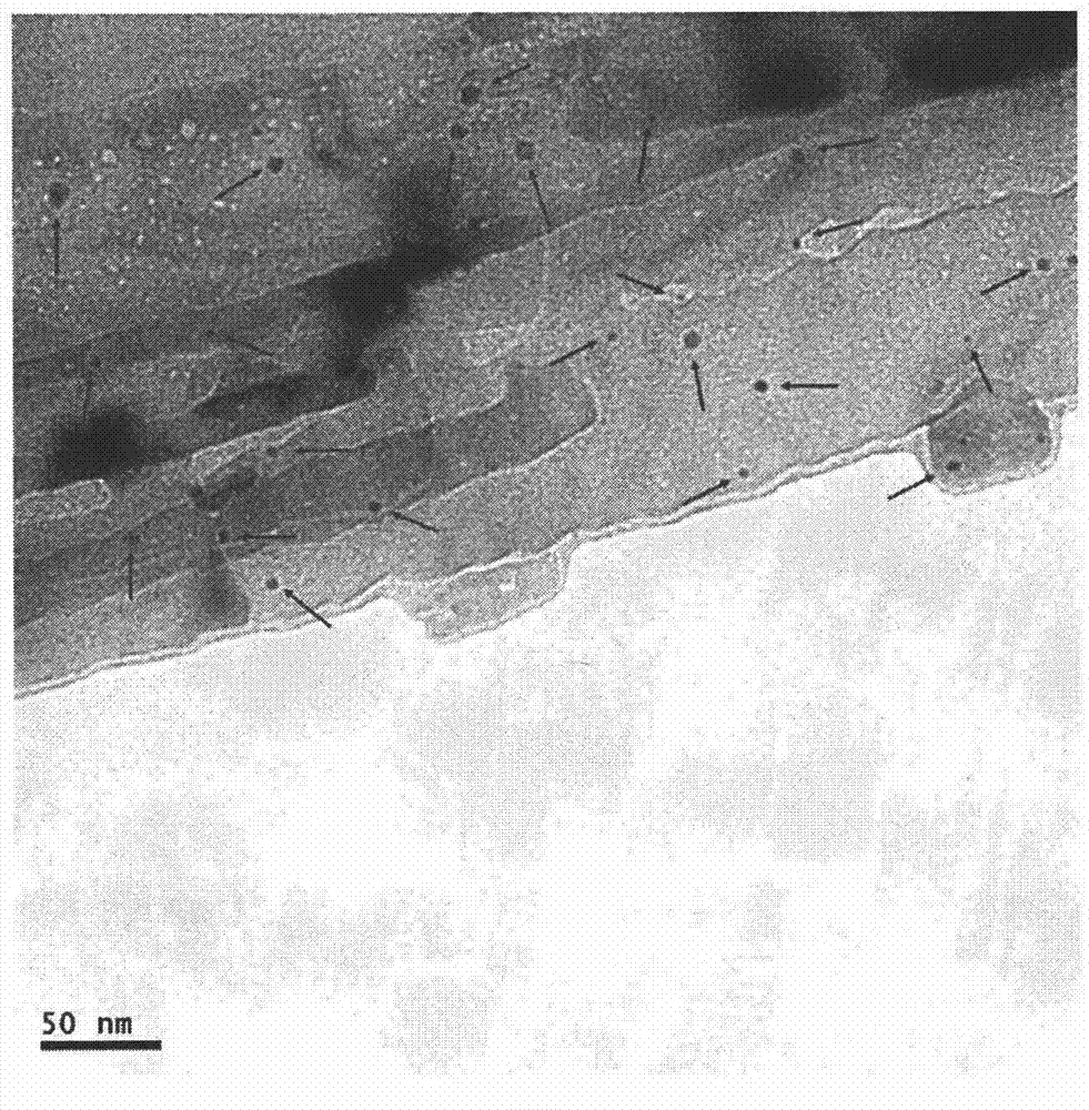 Preparation method of Au-Pd/TiO2 NBs photocatalyst