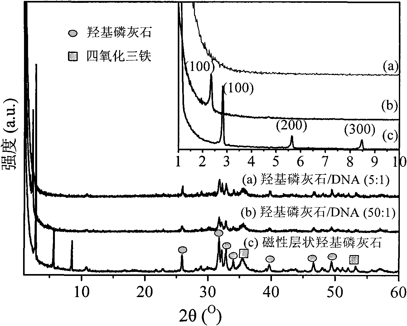 Magnetic nano lamellar hydroxyapatite and DNA composite as well as preparation method and application thereof