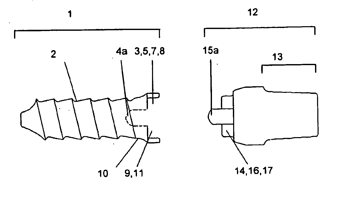 Two-Part Dental Implants Made of Biocompatible Ceramics