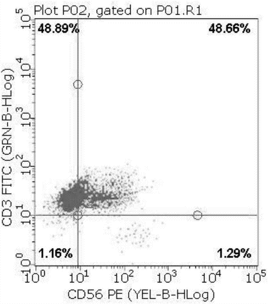 Inducing culture reagent for CIK (Cytokines Induced Killer) cells and culture method thereof