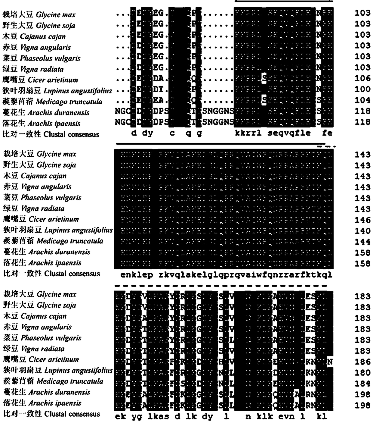 HD-Zip I type transcription factor GmHDL 57 genes and application