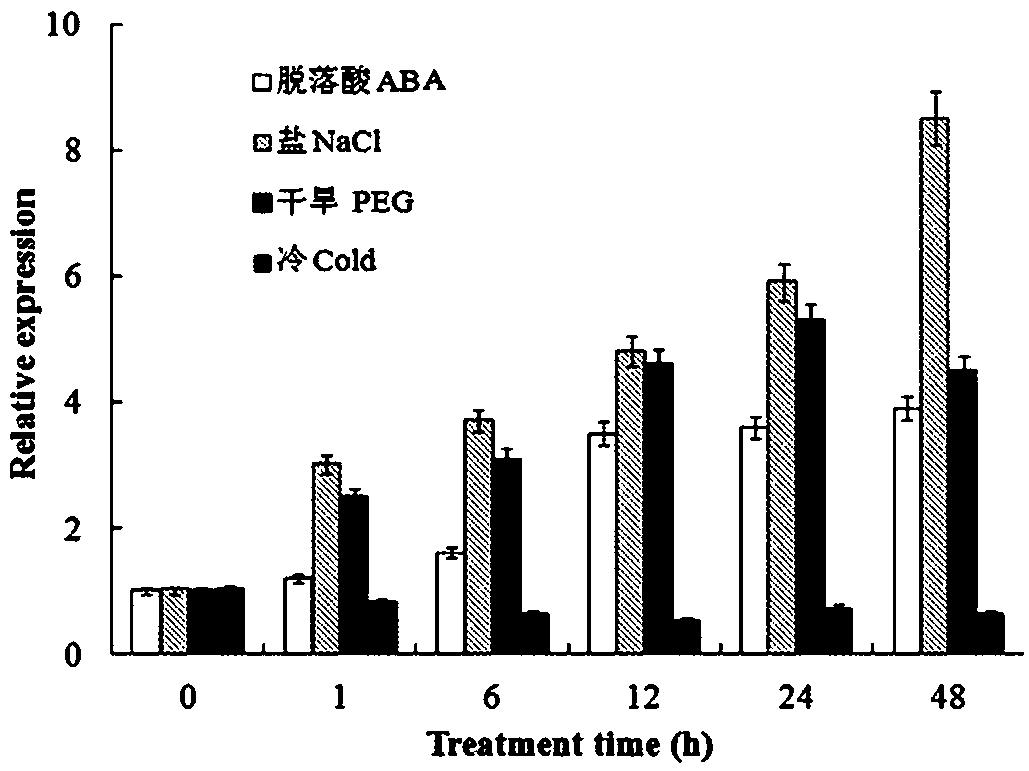 HD-Zip I type transcription factor GmHDL 57 genes and application