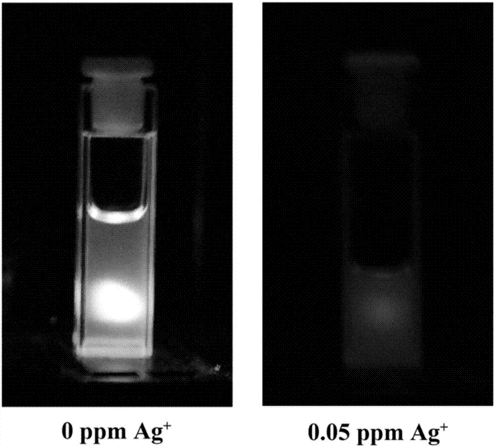 Method for detecting silver ions in drinking water