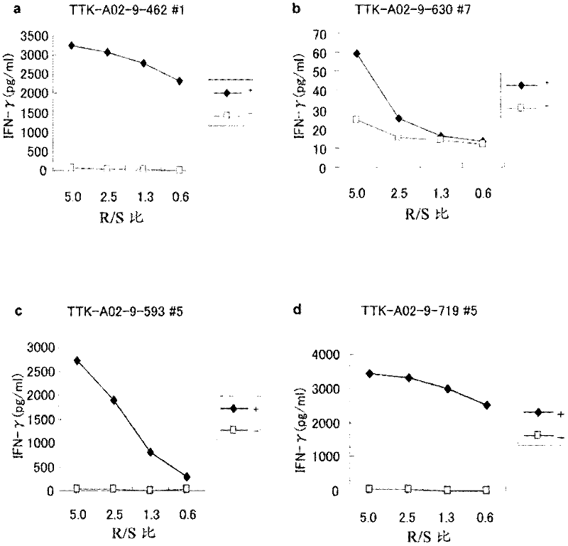 Ttk peptides and vaccines including the same