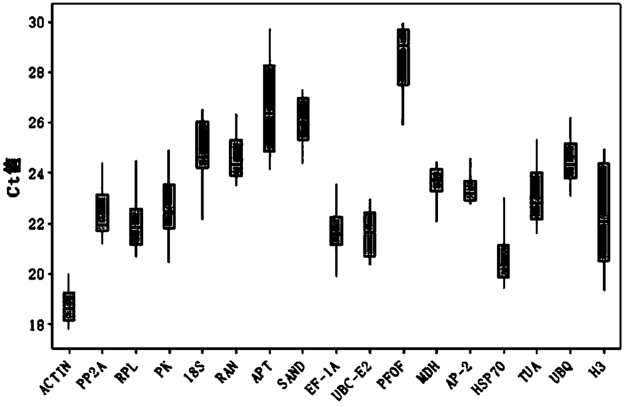 Fluorescence quantitative internal reference gene under drought stress in haizhou Changshan Mountain, special primer and application thereof