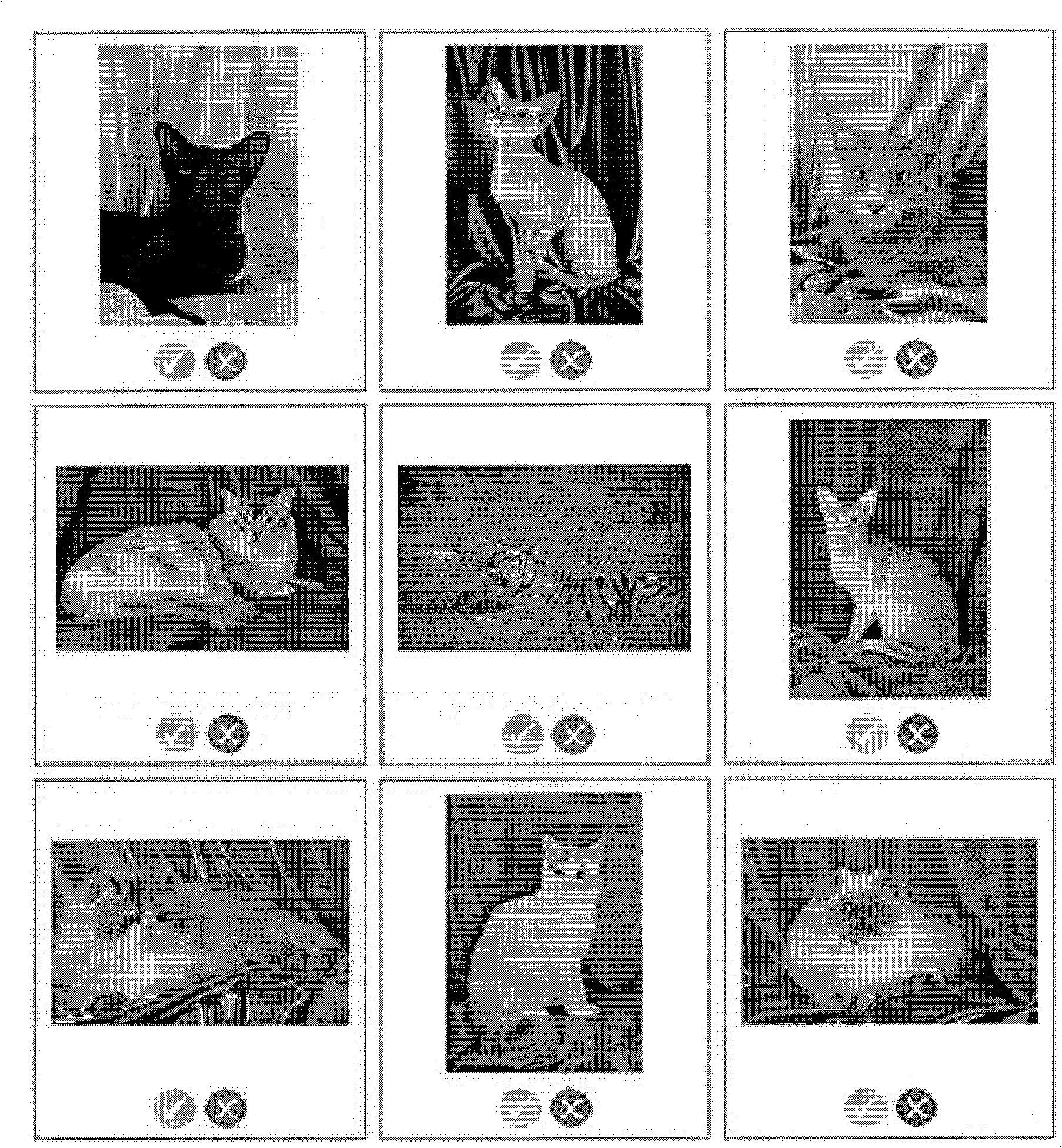 Method for implementing decussation retrieval between mediums through amalgamating different modality information