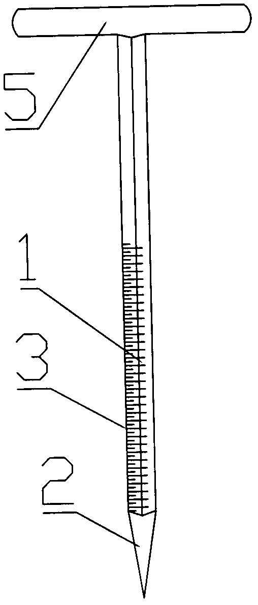 Needle body for treating orthopedic disorders