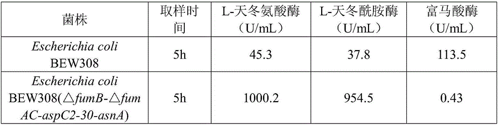 Recombinant escherichia coli efficiently transforming fumaric acid into L-asparagine as well as construction method and application thereof