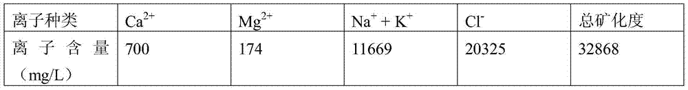 A kind of vesicle oil displacement agent formed by anionic surfactant complex system and its application