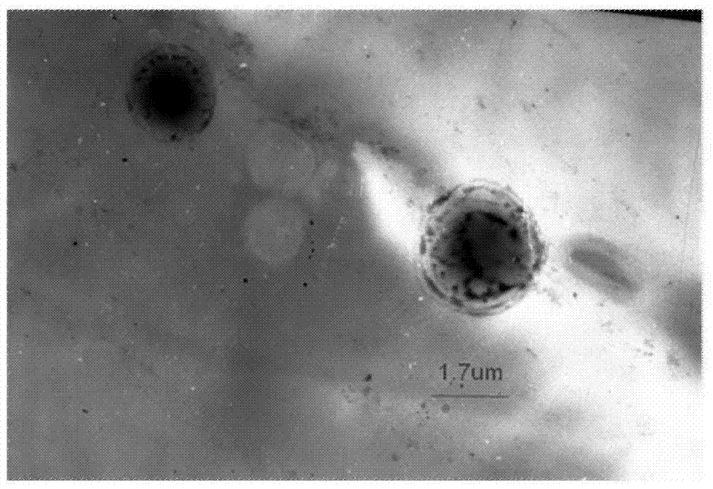 A kind of vesicle oil displacement agent formed by anionic surfactant complex system and its application