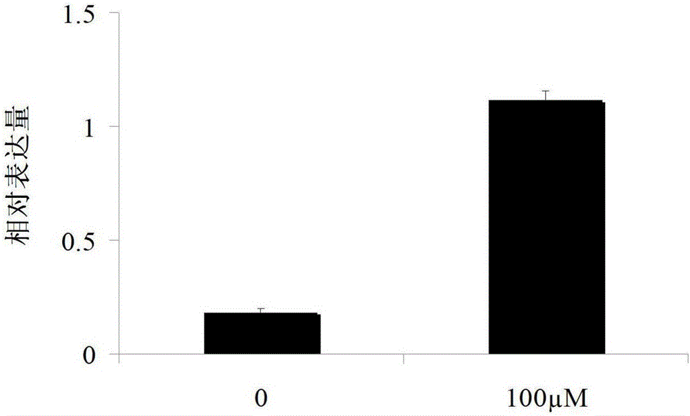 Soybean bHLH transcription factor and encoding gene and application thereof