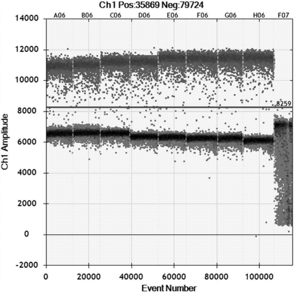 One-step droplet digital PCR method for quantitatively detecting GII type norovirus in fruits and vegetables