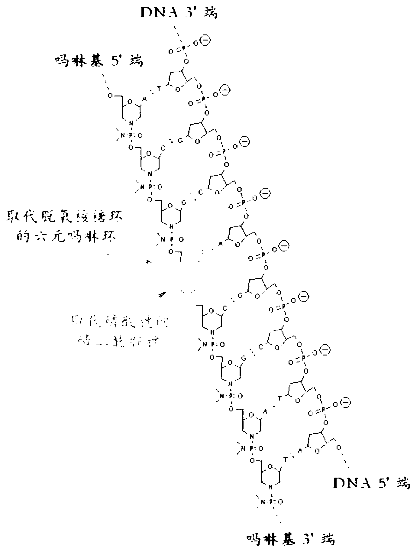 Allele variant detection method, kit and composition