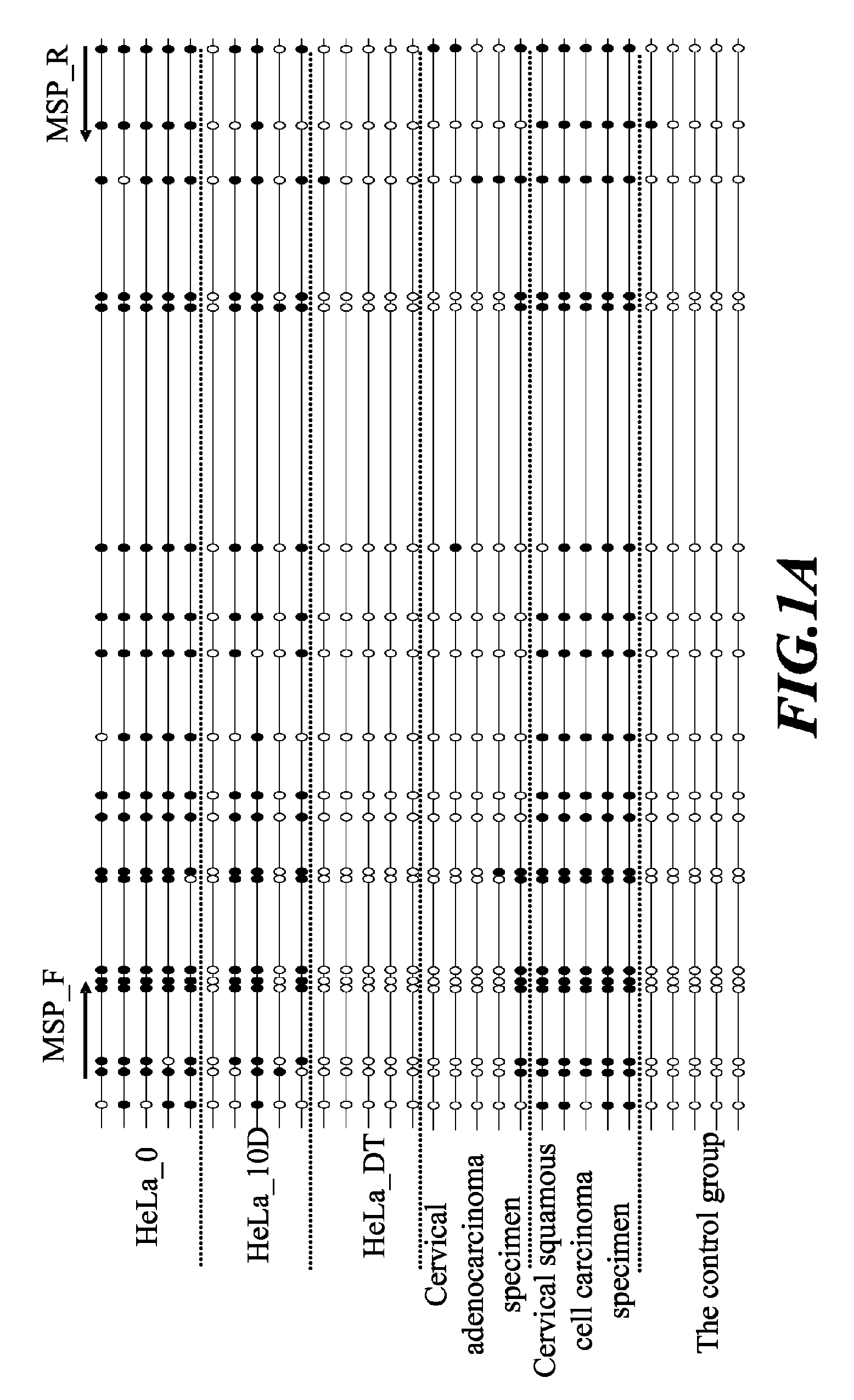 Cancer screening method