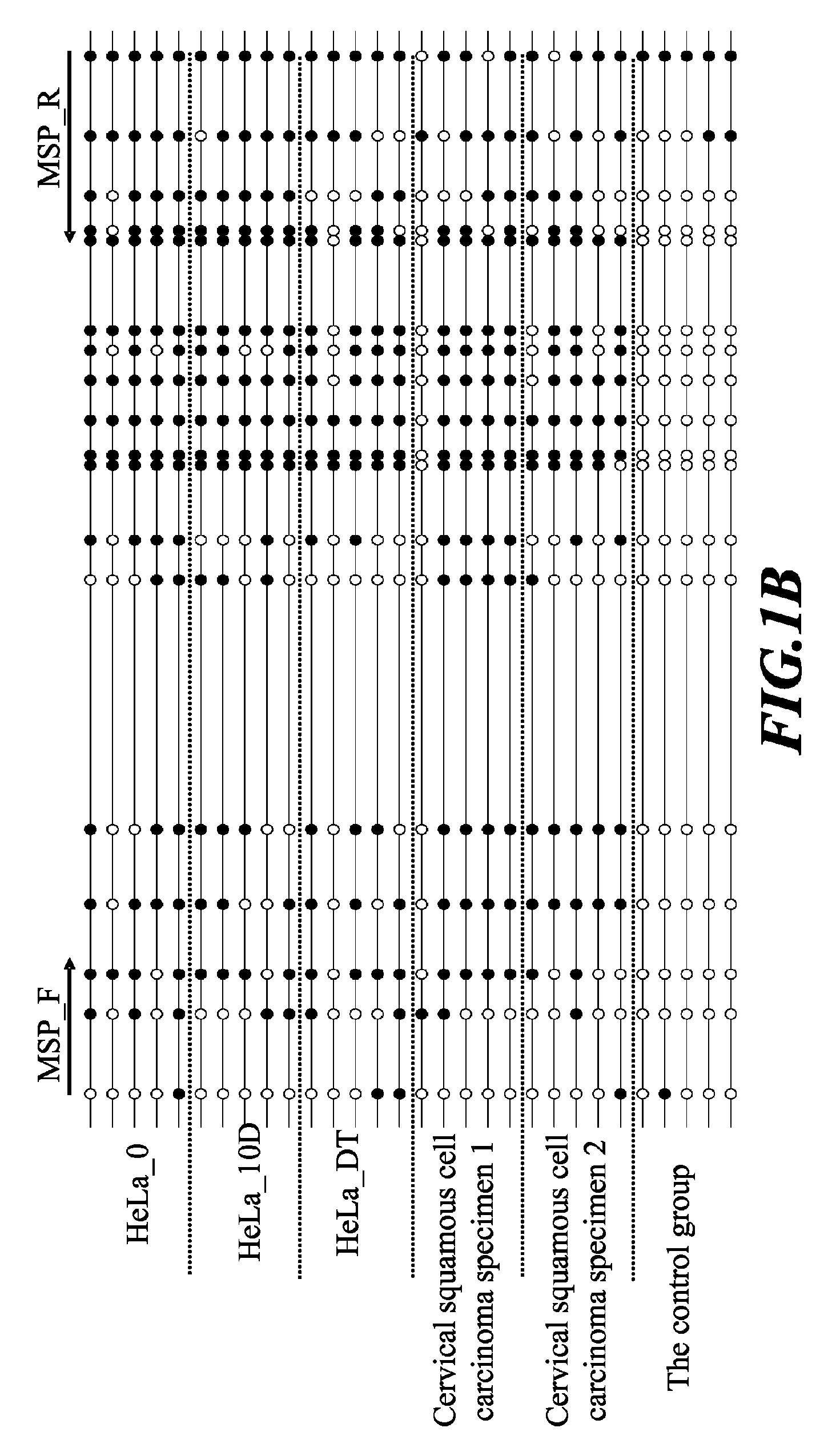 Cancer screening method