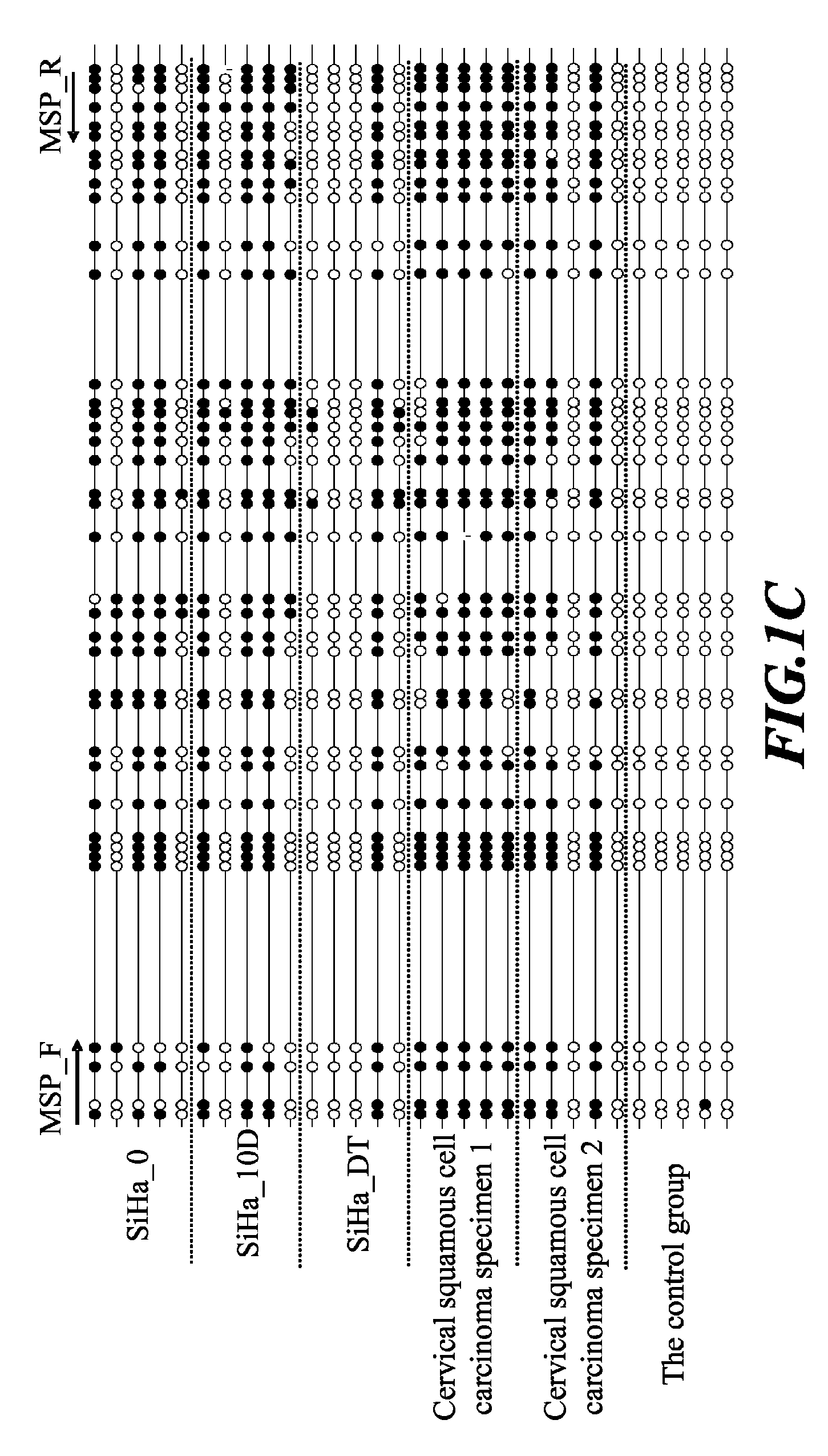 Cancer screening method