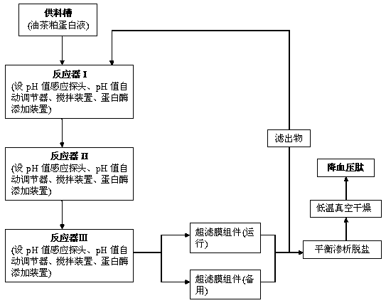 A semi-continuous preparation method of camellia oleifera meal protein hypotensive peptide