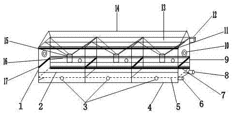 Stereoscopic high-efficient and environment-friendly animal feeding apparatus