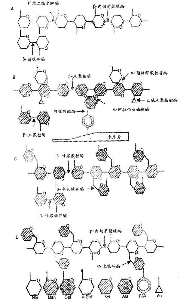 Expression of enzymes in yeast for lignocellulose derived oligomer CBP