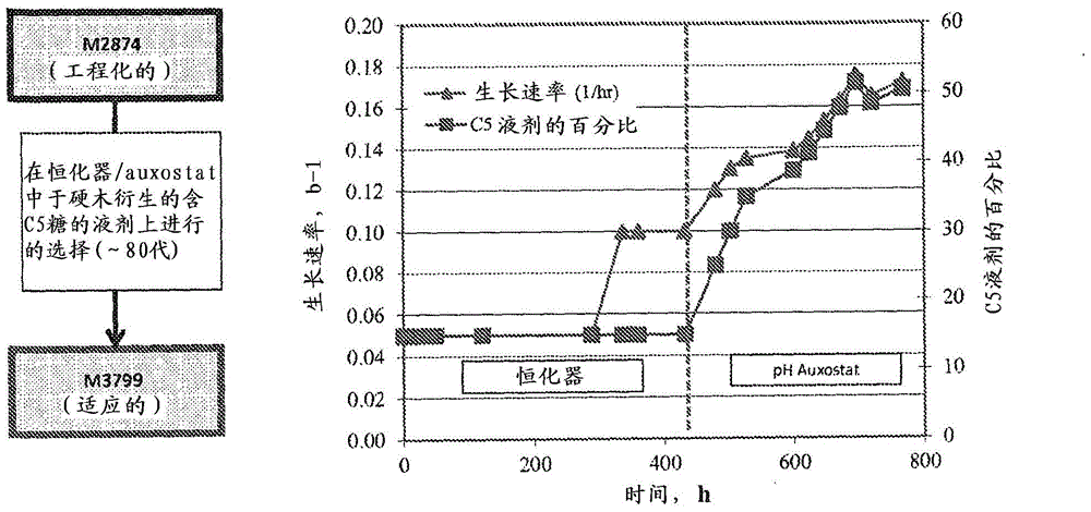 Expression of enzymes in yeast for lignocellulose derived oligomer CBP