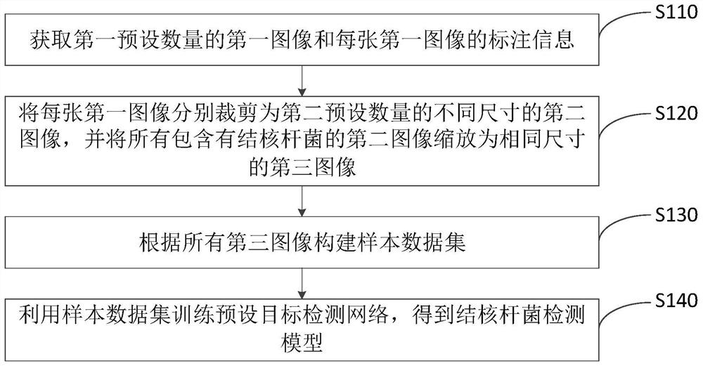 Mycobacterium tuberculosis detection model training method and device, equipment and storage medium