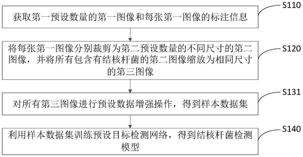 Mycobacterium tuberculosis detection model training method and device, equipment and storage medium