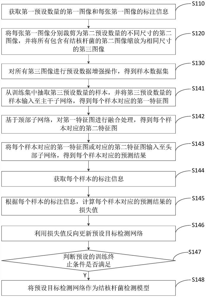 Mycobacterium tuberculosis detection model training method and device, equipment and storage medium