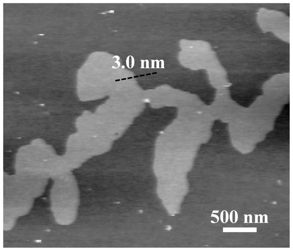 Preparation method and application of nickel hydroxide/nickel electrode