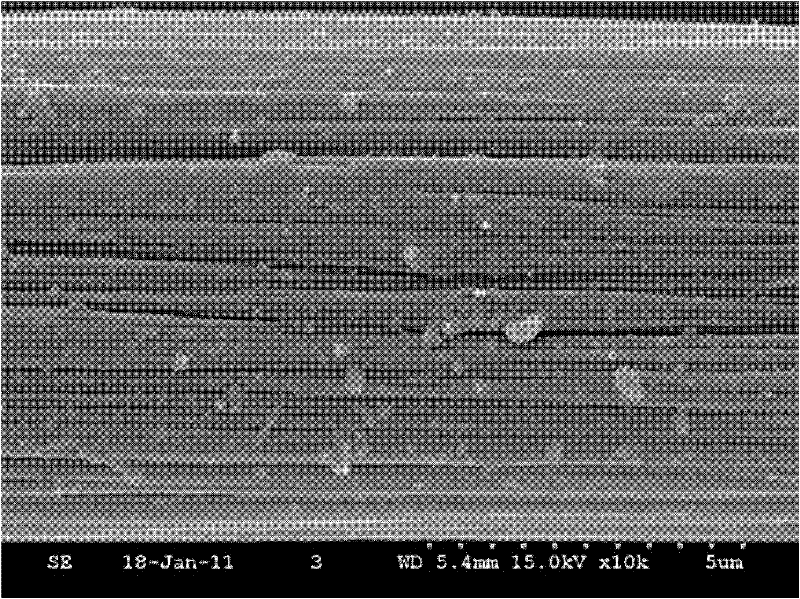 Carbon fiber emulsion sizing agent improved by carbon nano tube and preparation method of carbon fiber emulsion sizing agent