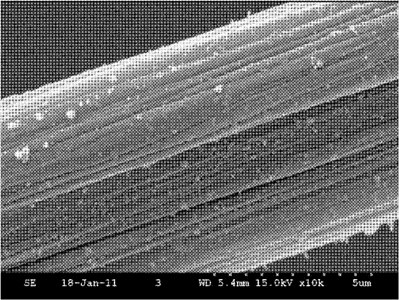 Carbon fiber emulsion sizing agent improved by carbon nano tube and preparation method of carbon fiber emulsion sizing agent