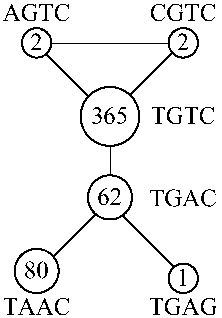 Processing method and device of circulating-tumor-DNA (ctDNA) repeats