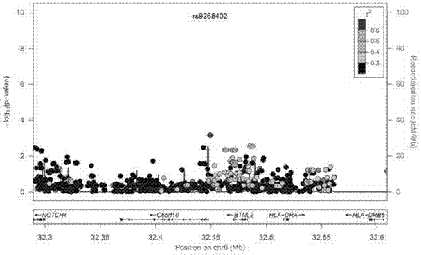 Coronary heart disease associated sixth chromosome susceptible region tagging single nucleotide polymorphism sites, haplotypes thereof, and applications of sites and haplotypes