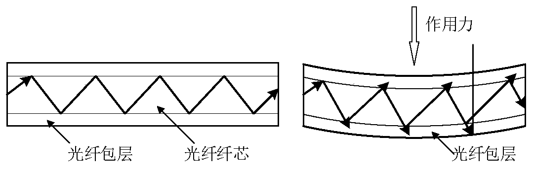 Vital sign monitoring device