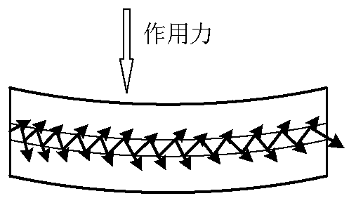 Vital sign monitoring device