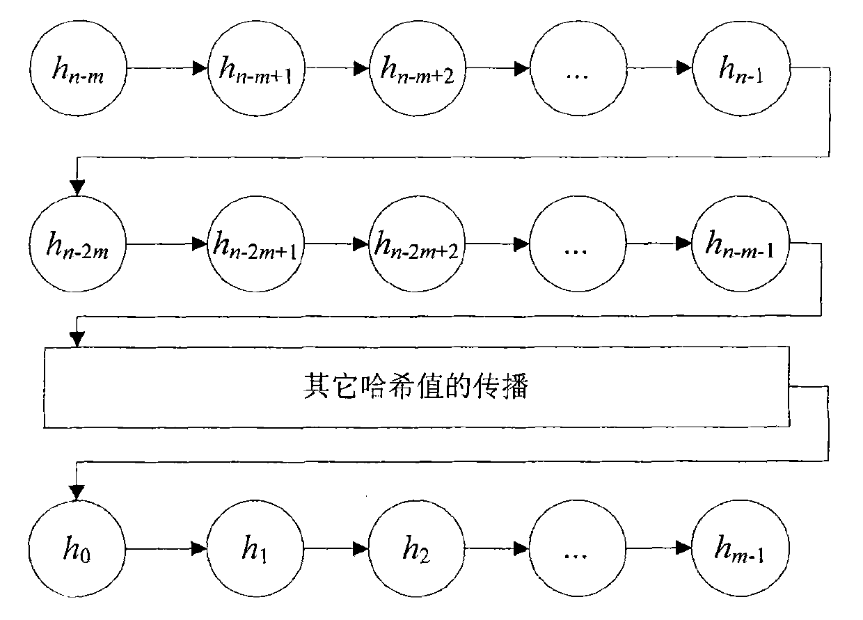 Bug wormhole attack method aiming at safe, high-efficiency distance vector routing protocol