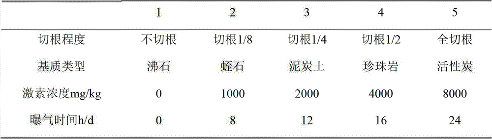 Root system induction method of woody plants in subsurface flow constructed wetland environment