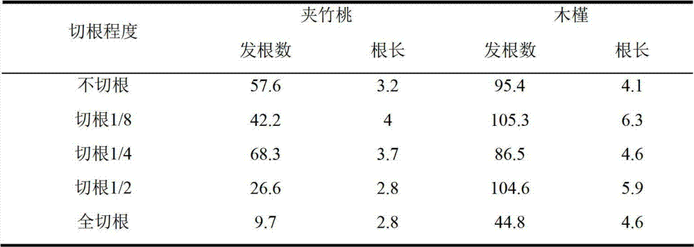 Root system induction method of woody plants in subsurface flow constructed wetland environment