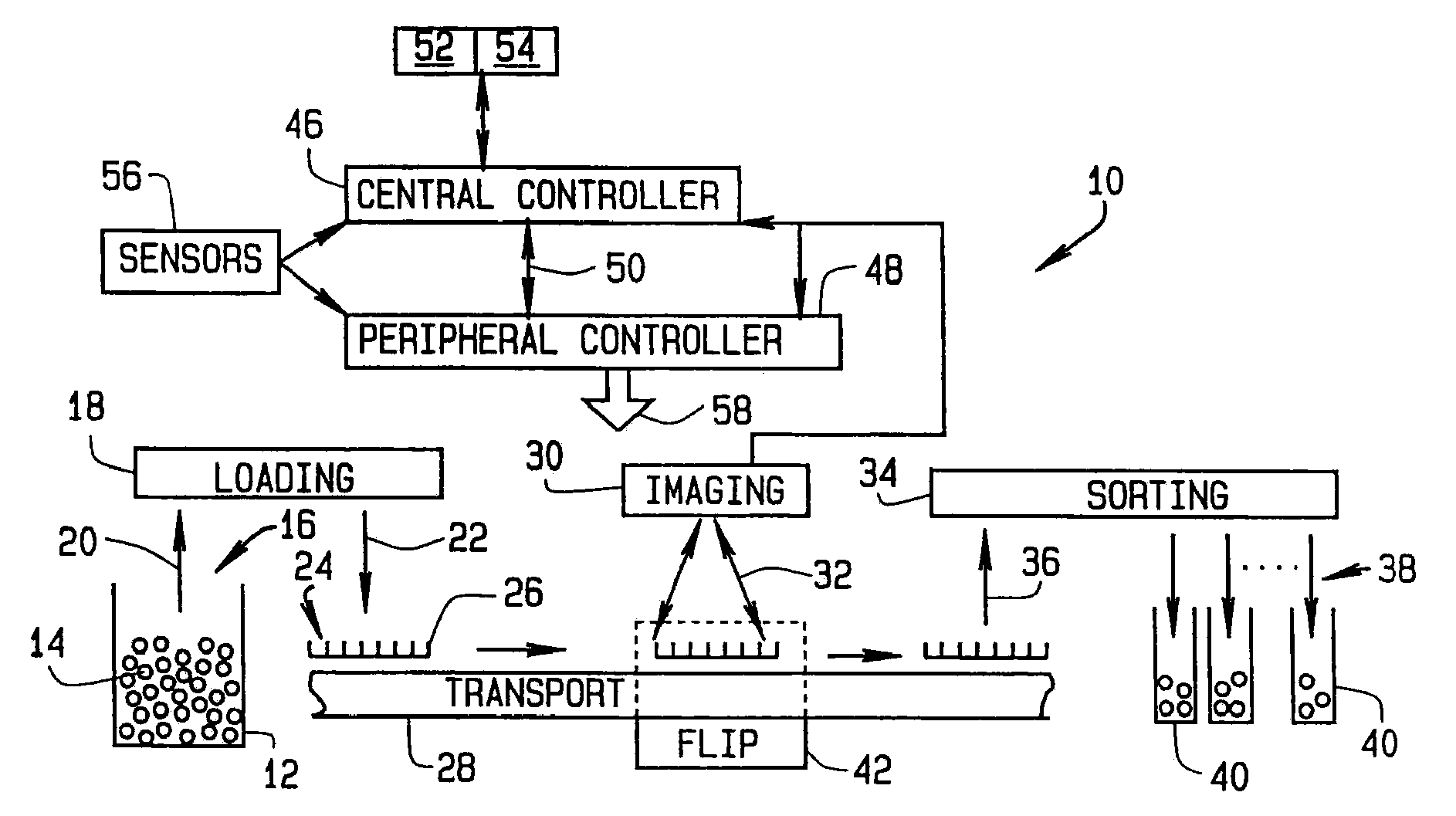 High throughput automated seed analysis system