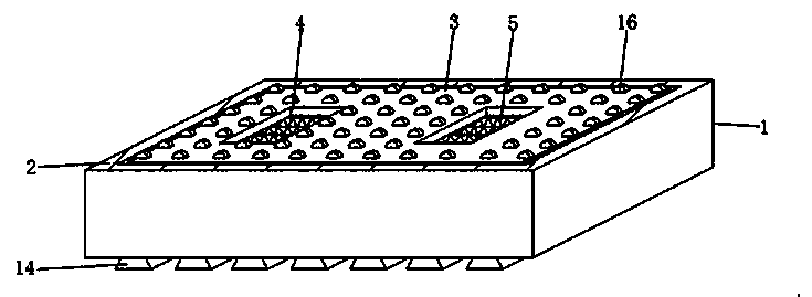 Anti-skid mud-scraping EVA foot pad for indoor entrance