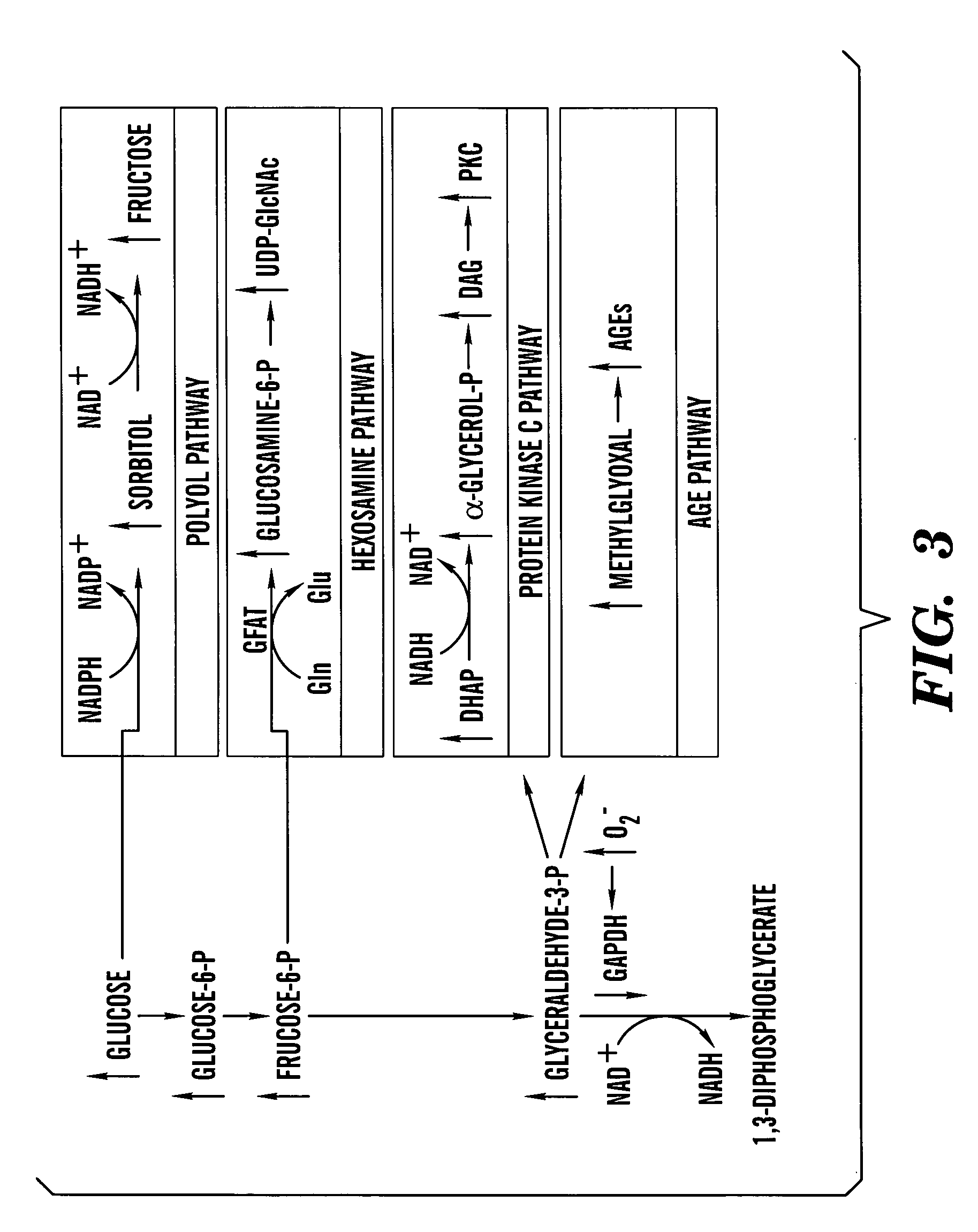 Method of treating or preventing pathologic effects of acute increases in hyperglycemia and/or acute increases of free fatty acid flux