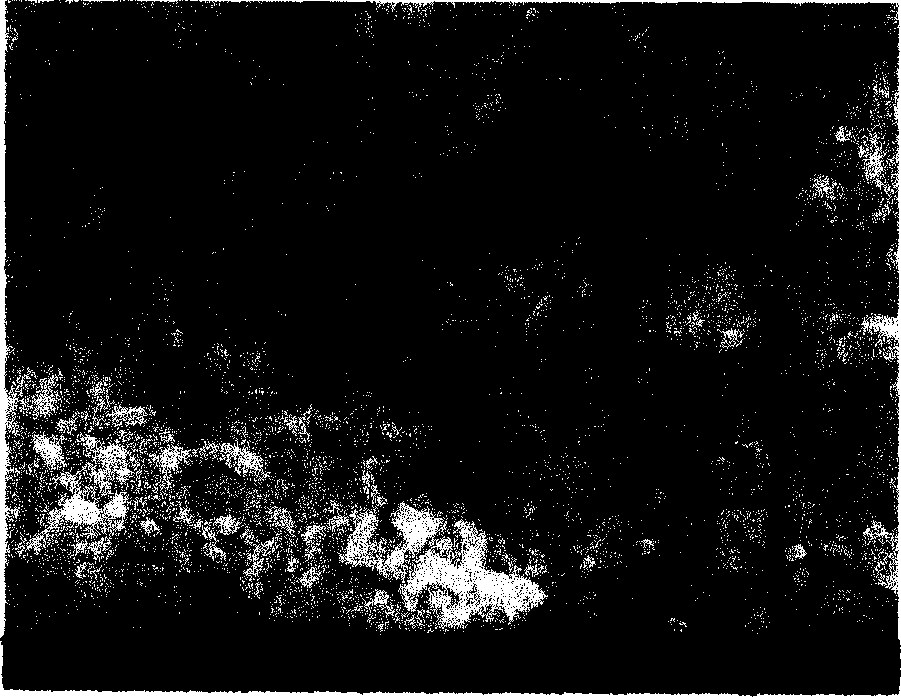 Stannic oxide based nanometer rod air-sensitive material and process for preparing the same