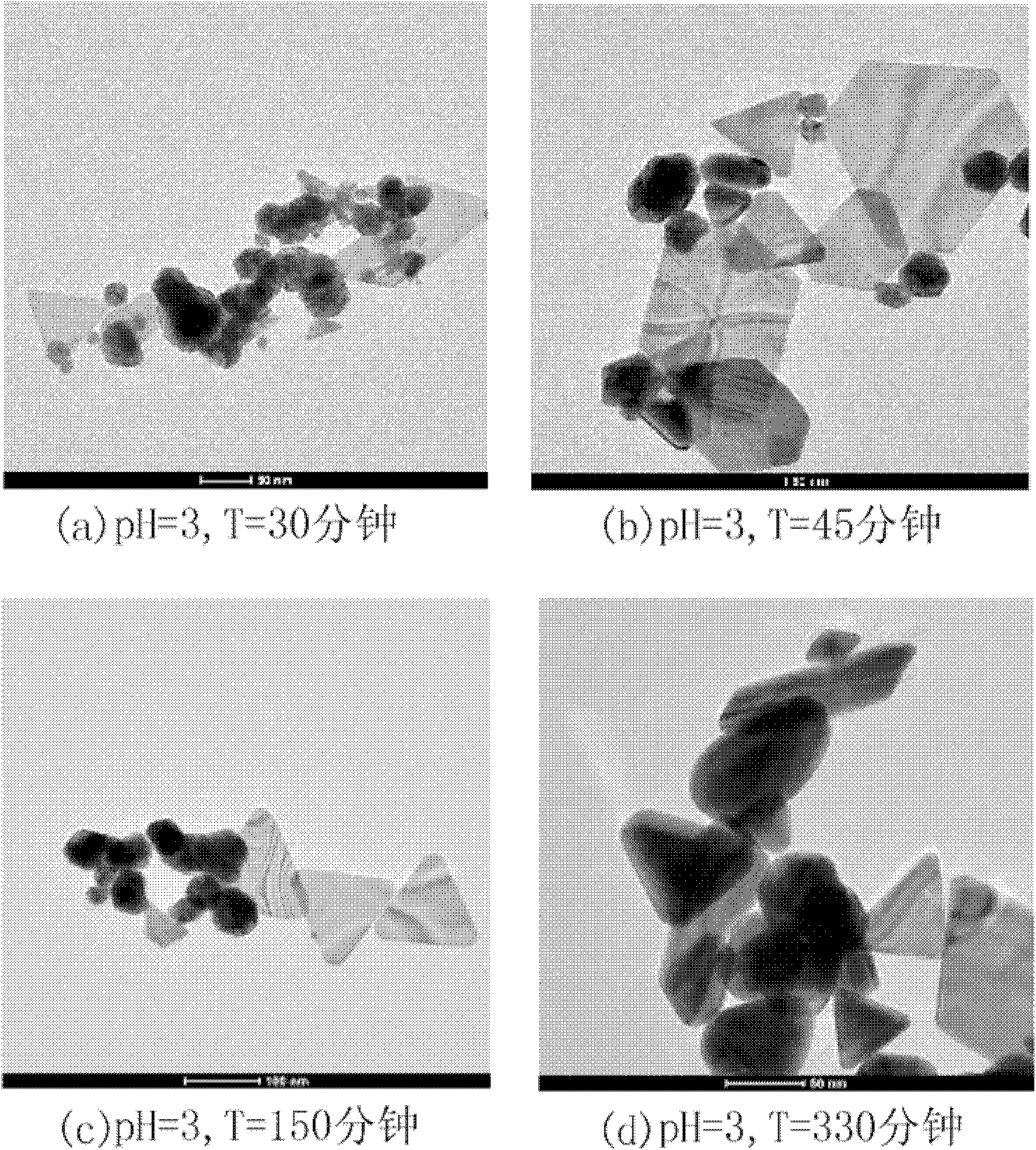 Preparation method of gold nanoparticles